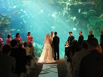 Alternative Ceremony/Reception Ideas