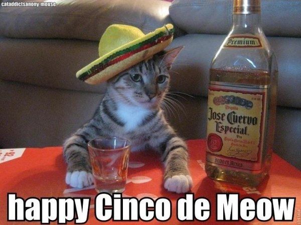 Magaritas?