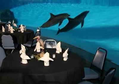 Alternative Ceremony/Reception Ideas