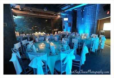 Alternative Ceremony/Reception Ideas