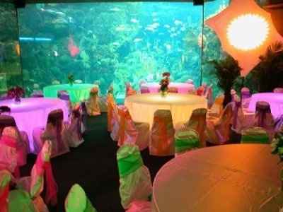 Alternative Ceremony/Reception Ideas
