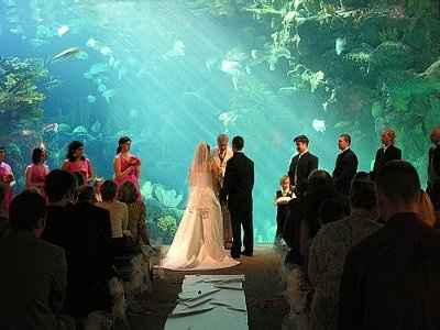 Alternative Ceremony/Reception Ideas