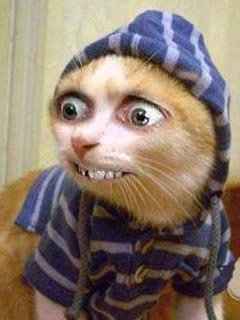 It's funny photo time!