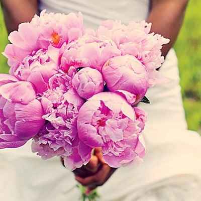 Can you tell me what type of flowers these are? PICS******