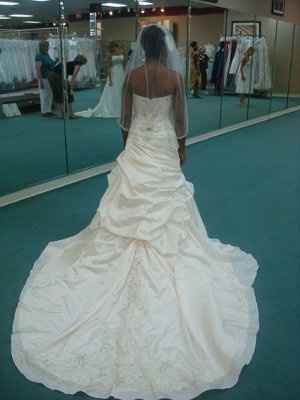 Lets Discuss... BUSTLES! *