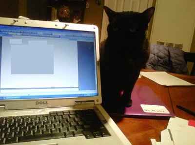 Just for fun: Which room of your house has been taken over?