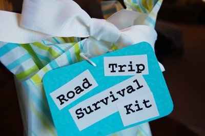 NWR- Fun Road Trip Survival Kit