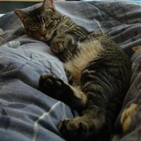 Show off your furbabies!