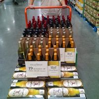 Fun (PROPERLY HOSTED) Weddings!