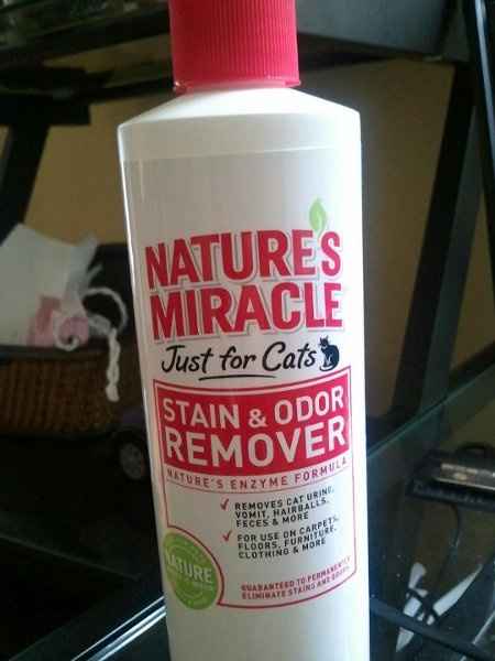 NWR - Getting rid of cat pee... ugh