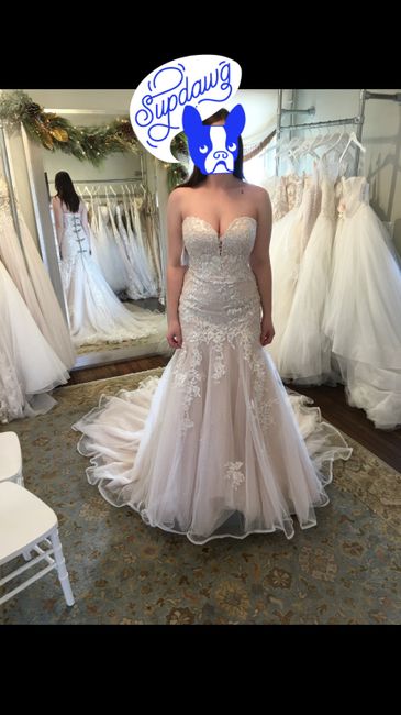 i swear i’m done trying on dresses! - 5