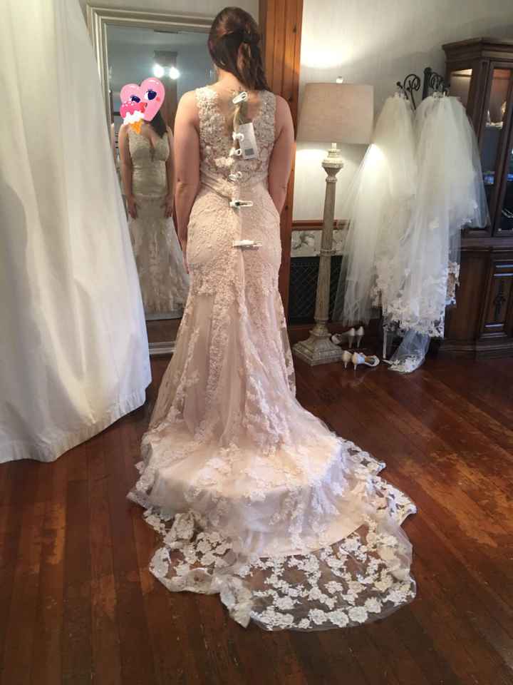 i may have found my dress! - 3