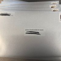rsvp Envelopes - 2