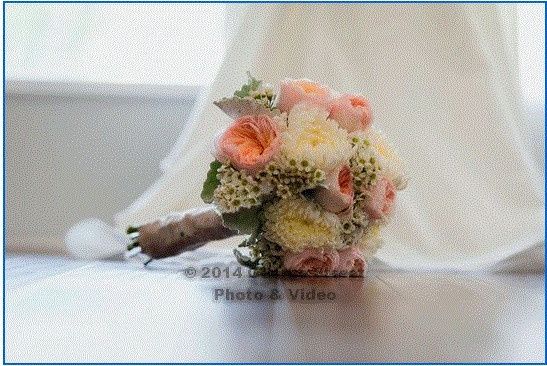 Help me identify these flowers!