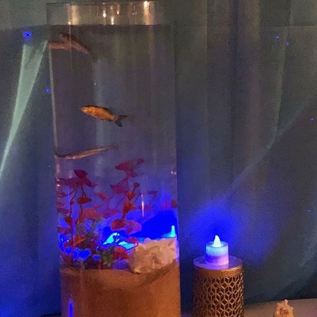 bab & Bas!!! (pic heavy) - 20