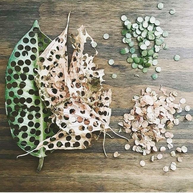 Eco-friendly confetti!