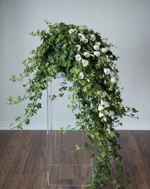 Filling Bare Walls Behind Trellis 4