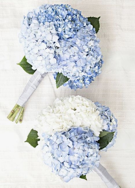 All Things Blue! 4