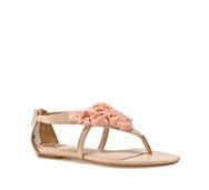 HELP!!  Shoe problem