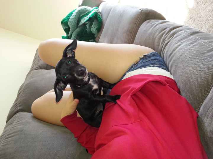 NWR- who has adopted their animals??