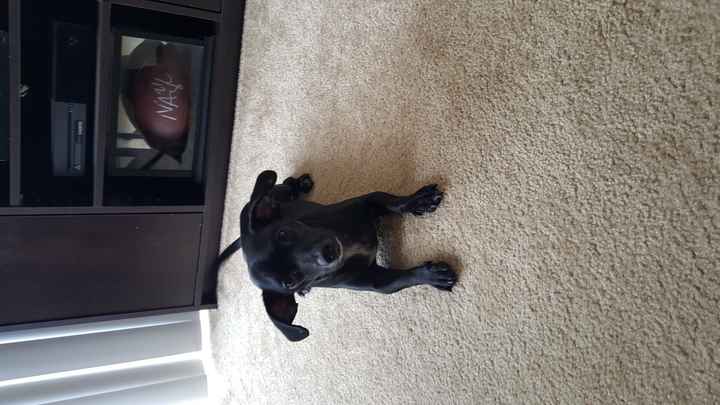 Everyone - do a quick intro!