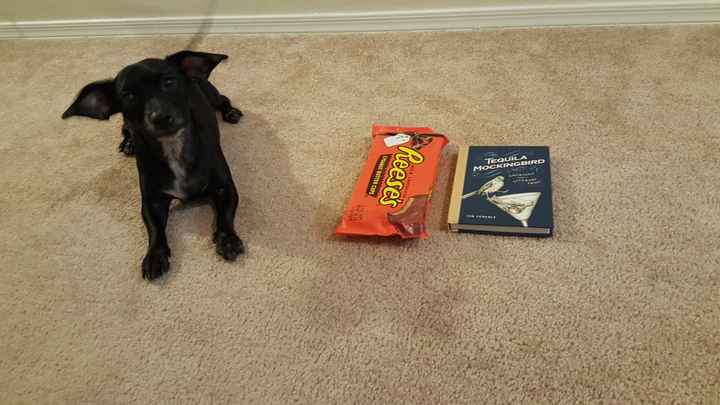 WW Secret Santa Thank You / Guessing Thread