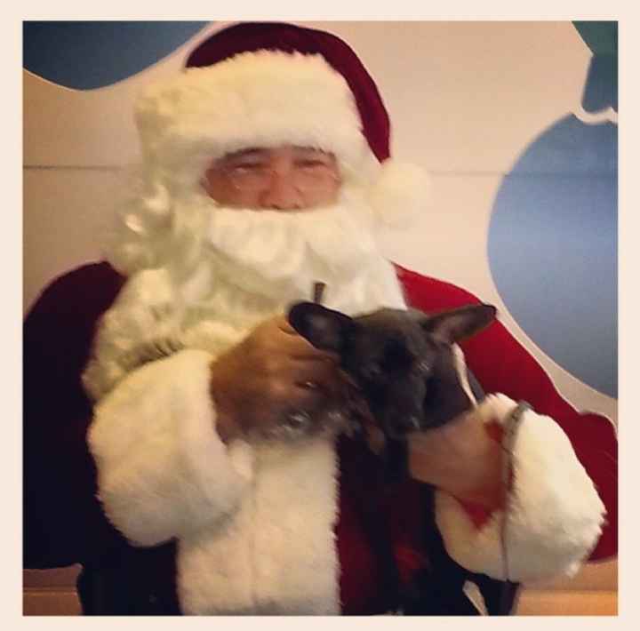 Brag Post - Pet Edition!