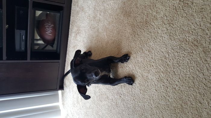 Everyone - do a quick intro!