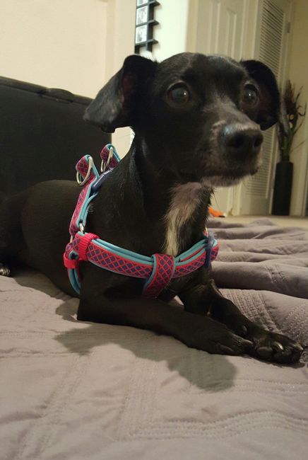 I LOVE my fur baby!