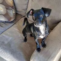 It's Fursday! Share the love!