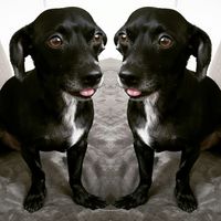 NWR: Show me your pups!