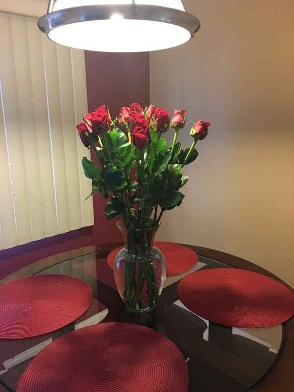 NRW dog puke and flowers