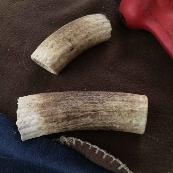 NWR Furbaby question