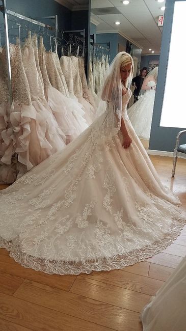 I said YES to the dress!
