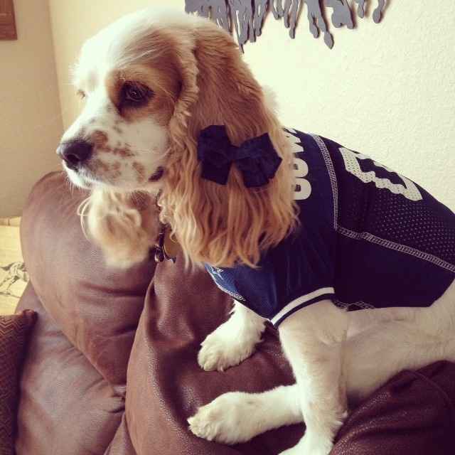 Christmas came early !!! Cuteness overload