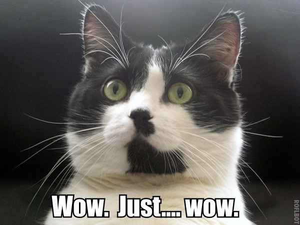 What's your IG name? Share if you want...