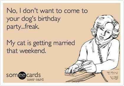 #petlife - pet memes & furbaby pictures!