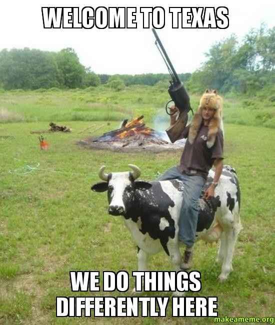 NWR: Stereotypes (for fun!)