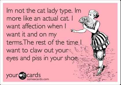 NWR:  cat meme time!