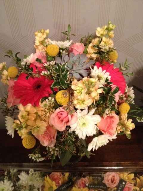 BAM w/ non pro pics!