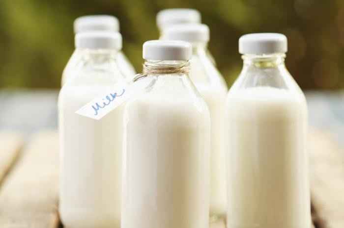 Spinoff - Cat wedding!