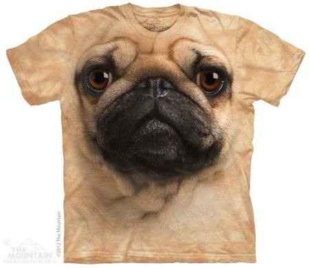 #petlife - pet memes & furbaby pictures!