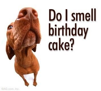 NWR: It's my birthday!!