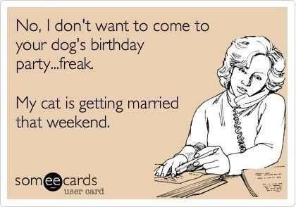 #petlife - pet memes & furbaby pictures!