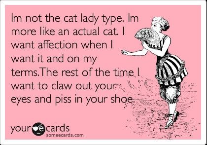 NWR:  cat meme time!