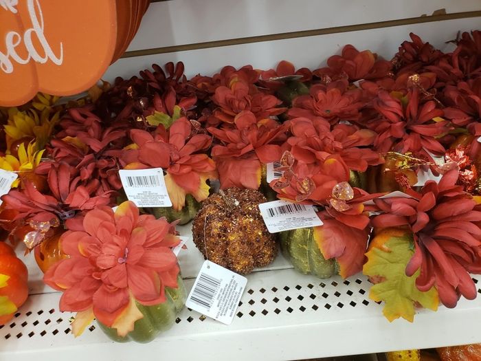All you fall brides - 6