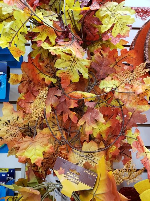 All you fall brides - 21
