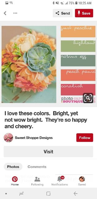 I need accent colors that go with coral!! 2