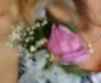 Corsage DIYd
