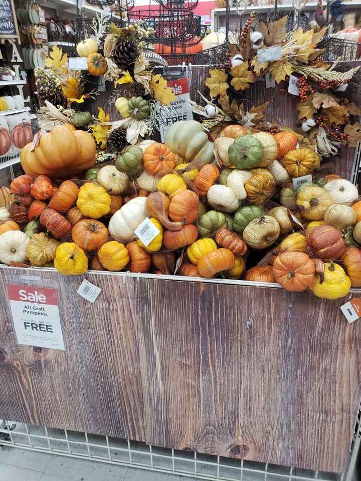 Michael's bogo / 80% Clearance / Other good buys --pics!!! - 6